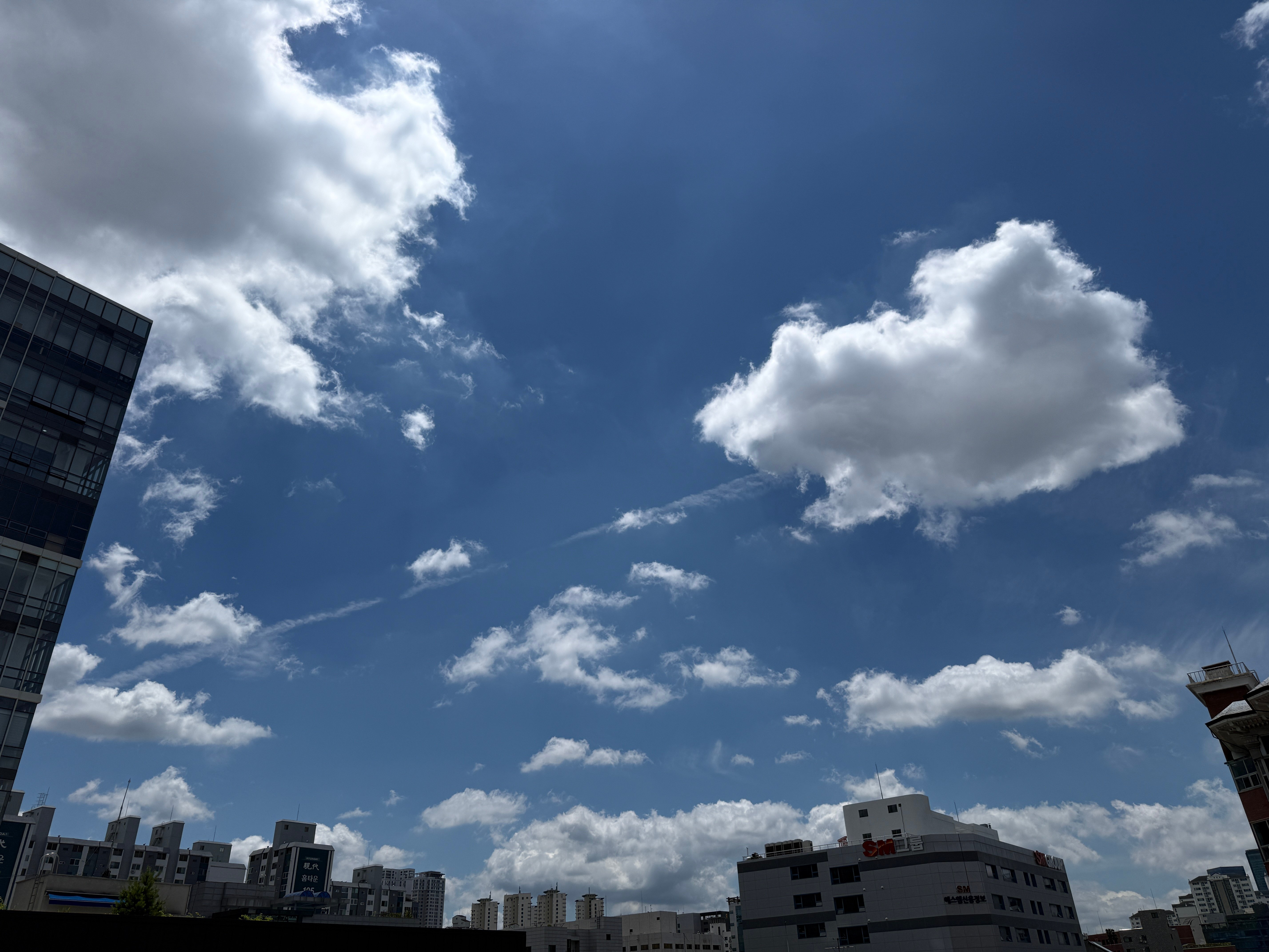 sky1.jpg