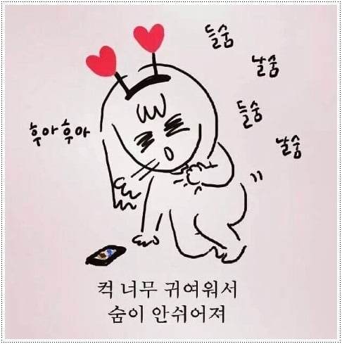 첨부 이미지