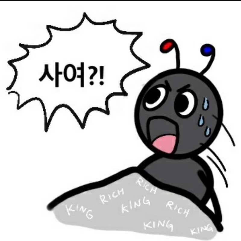 첨부 이미지