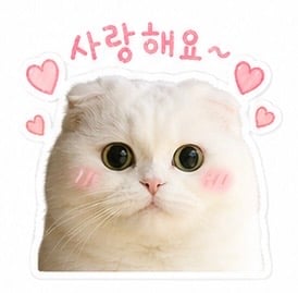 첨부 이미지
