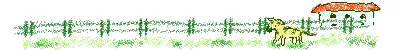 강아지.webp