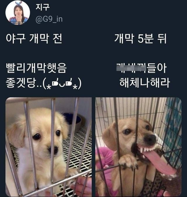 1780913985631.jpg
