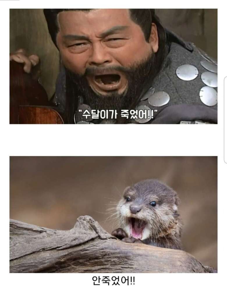 첨부 이미지