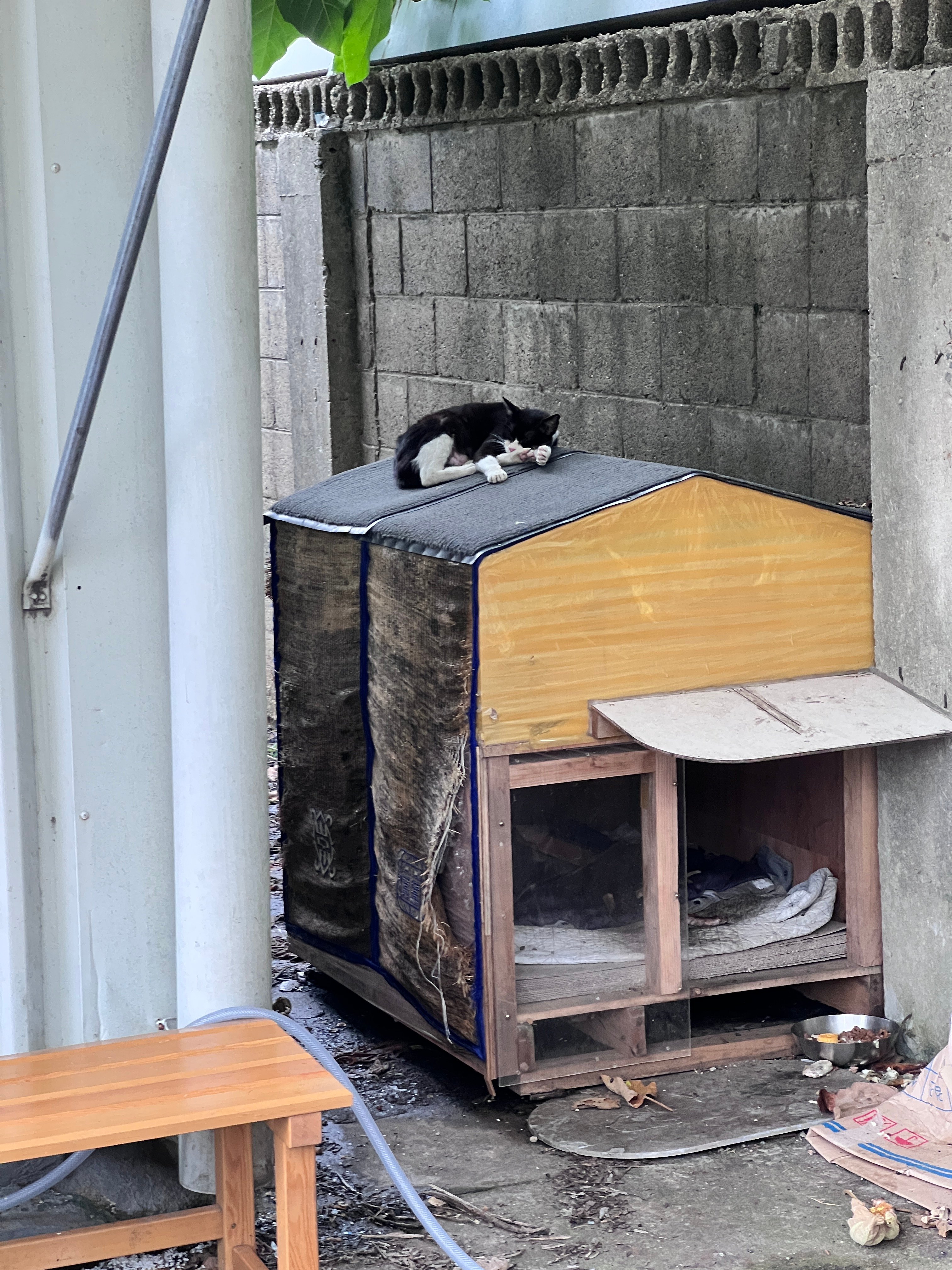 KakaoTalk_20260622_134940266.jpg