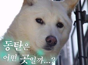 첨부 이미지