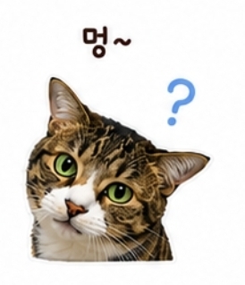 첨부 이미지