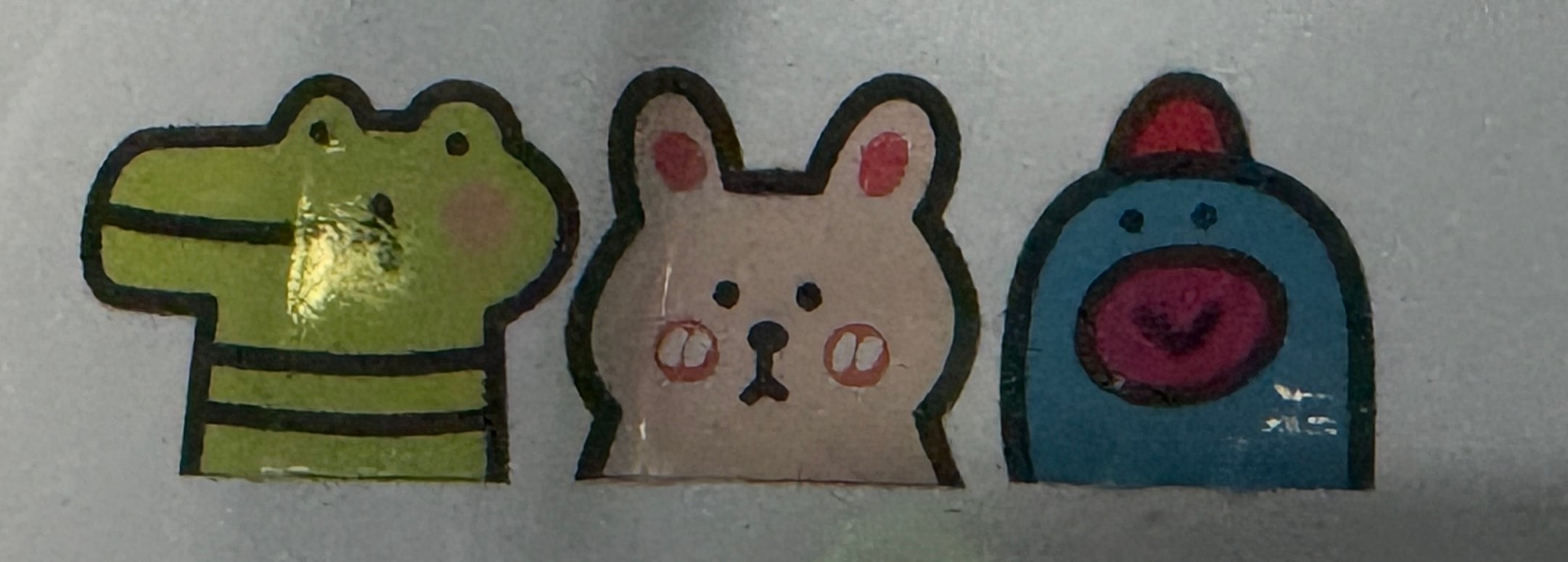 IMG_1398.jpeg