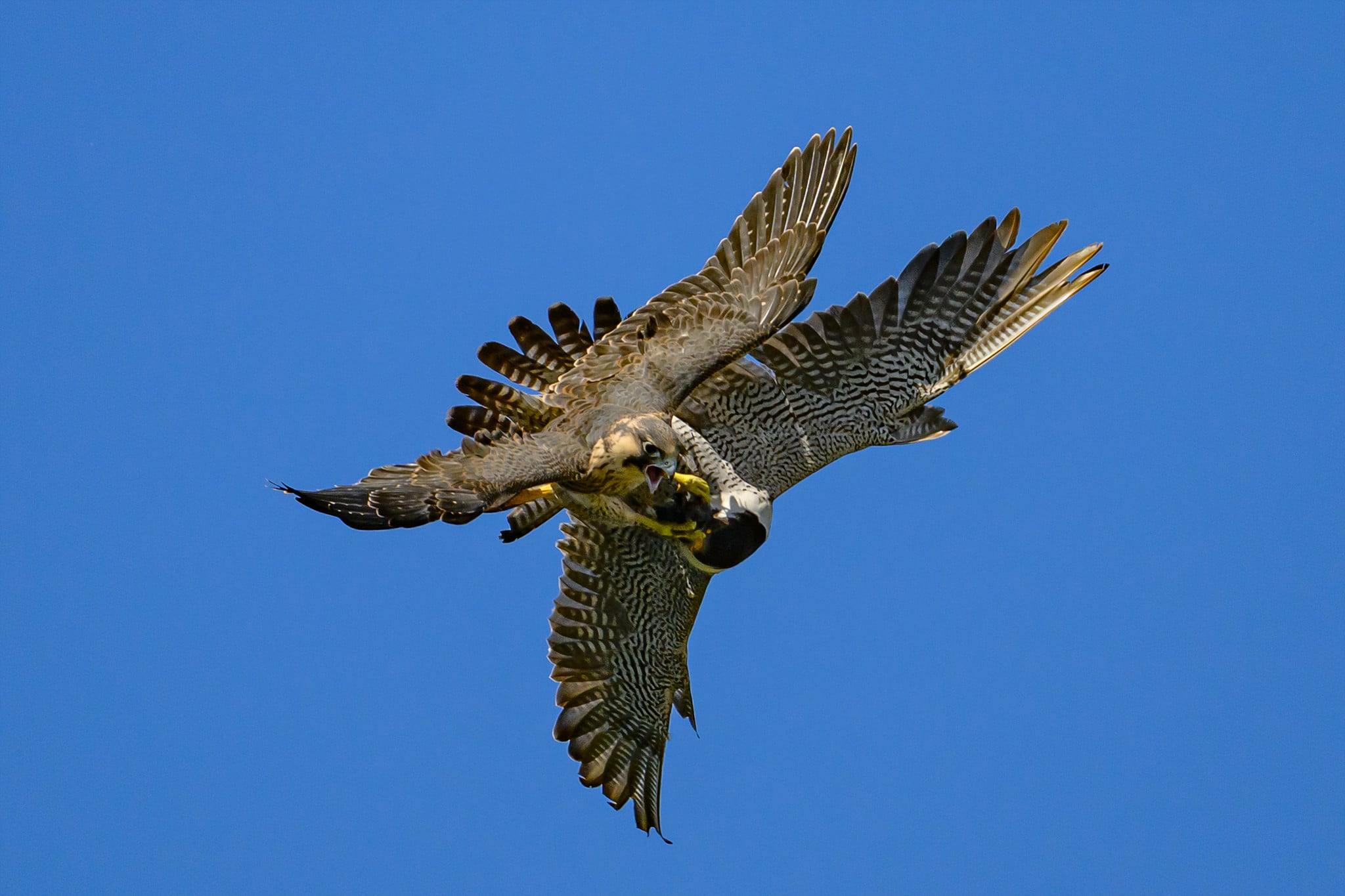 DSC_7134.jpg