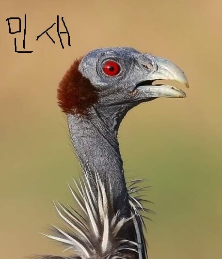 첨부 이미지