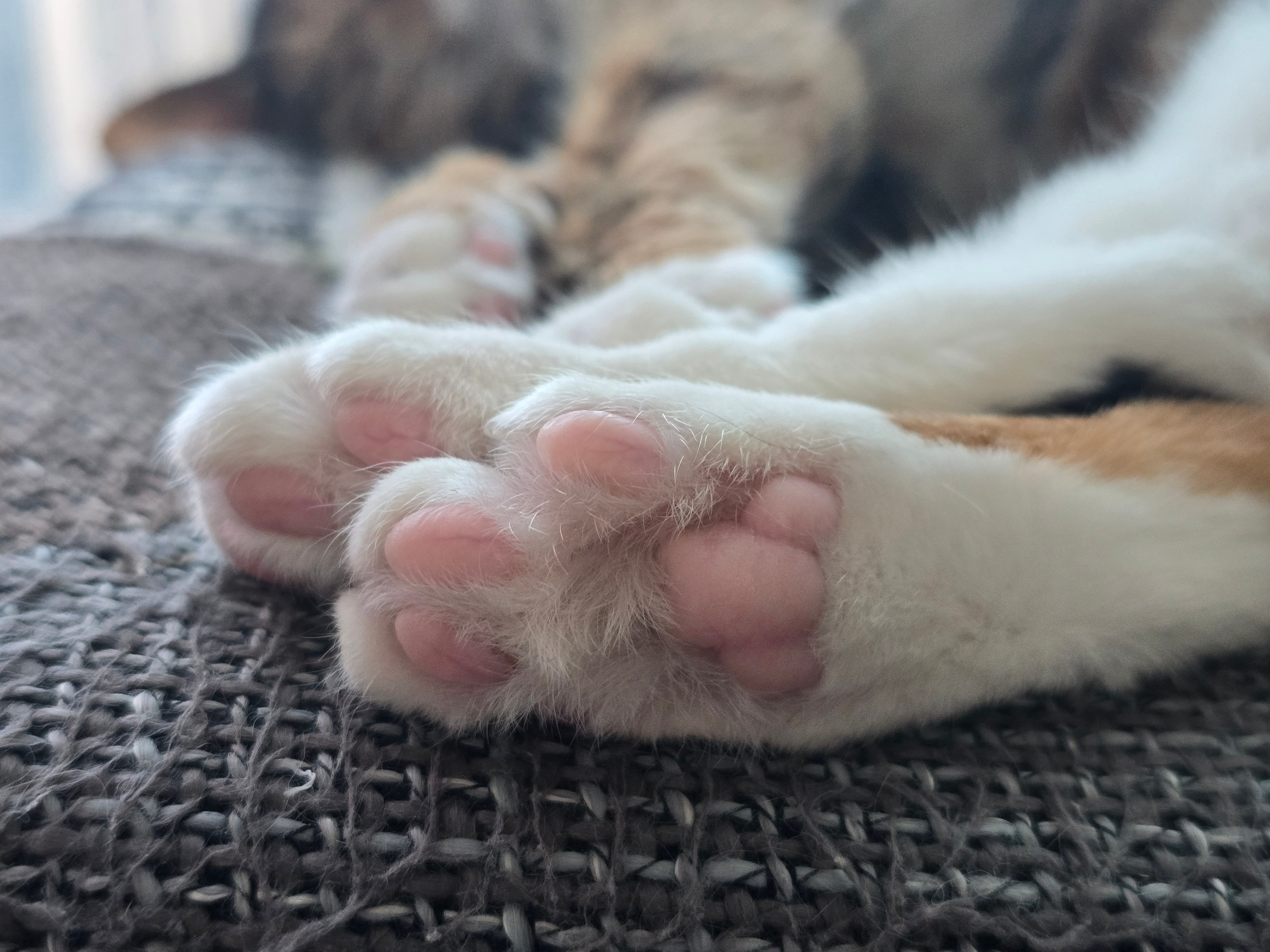 20260622_191139.jpg