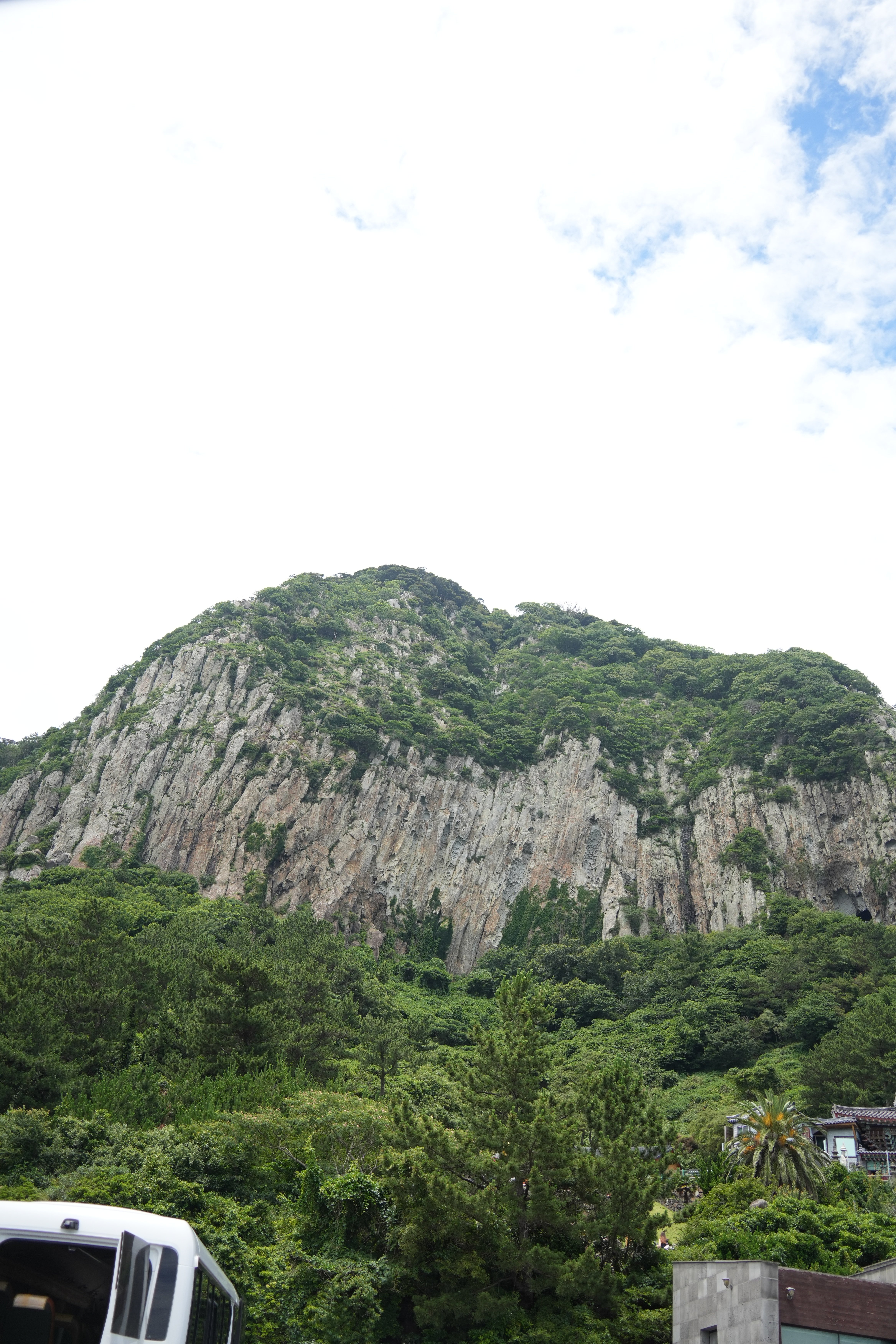 DSC04141.jpeg