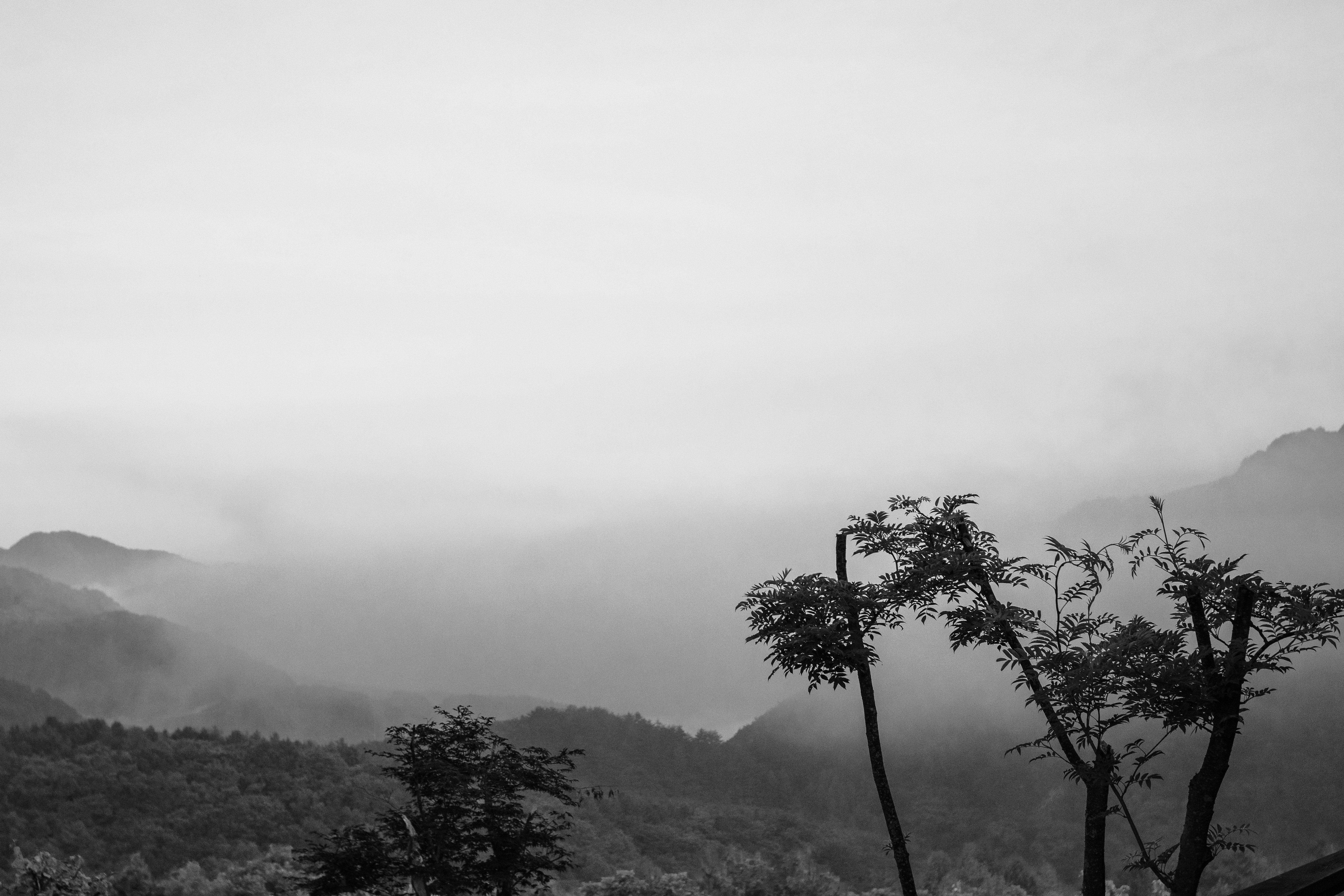 DSC03480 (1).jpg