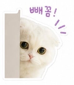첨부 이미지