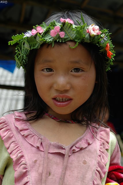 IMGP4167.jpg