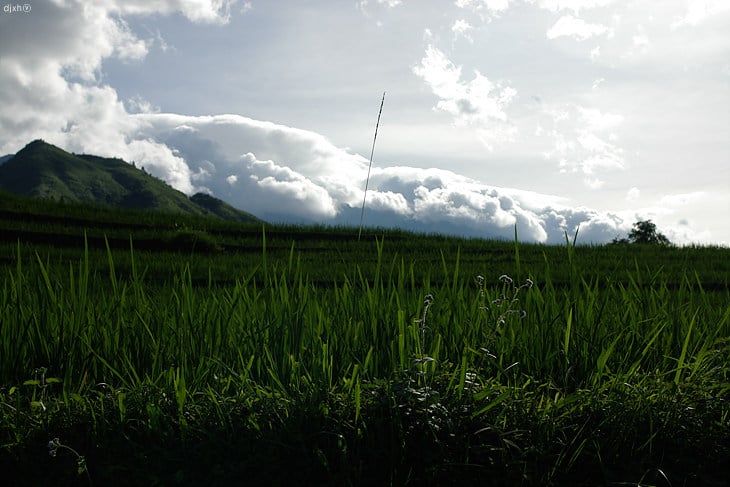 IMGP3939.jpg