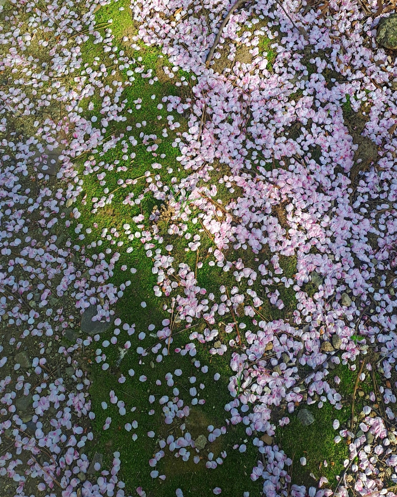 CYMERA_20260727_145350.jpg
