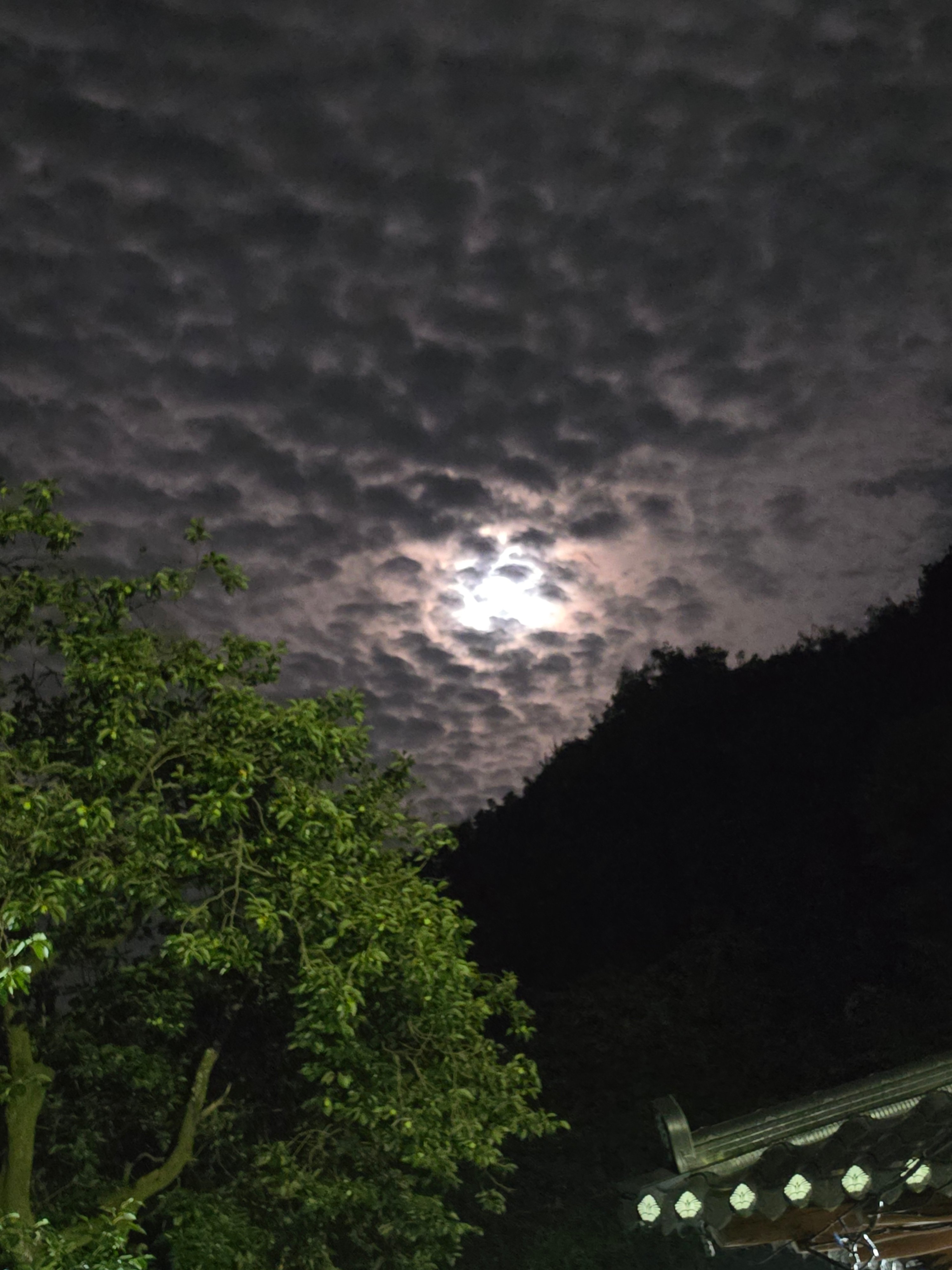 20260728_234725.jpg