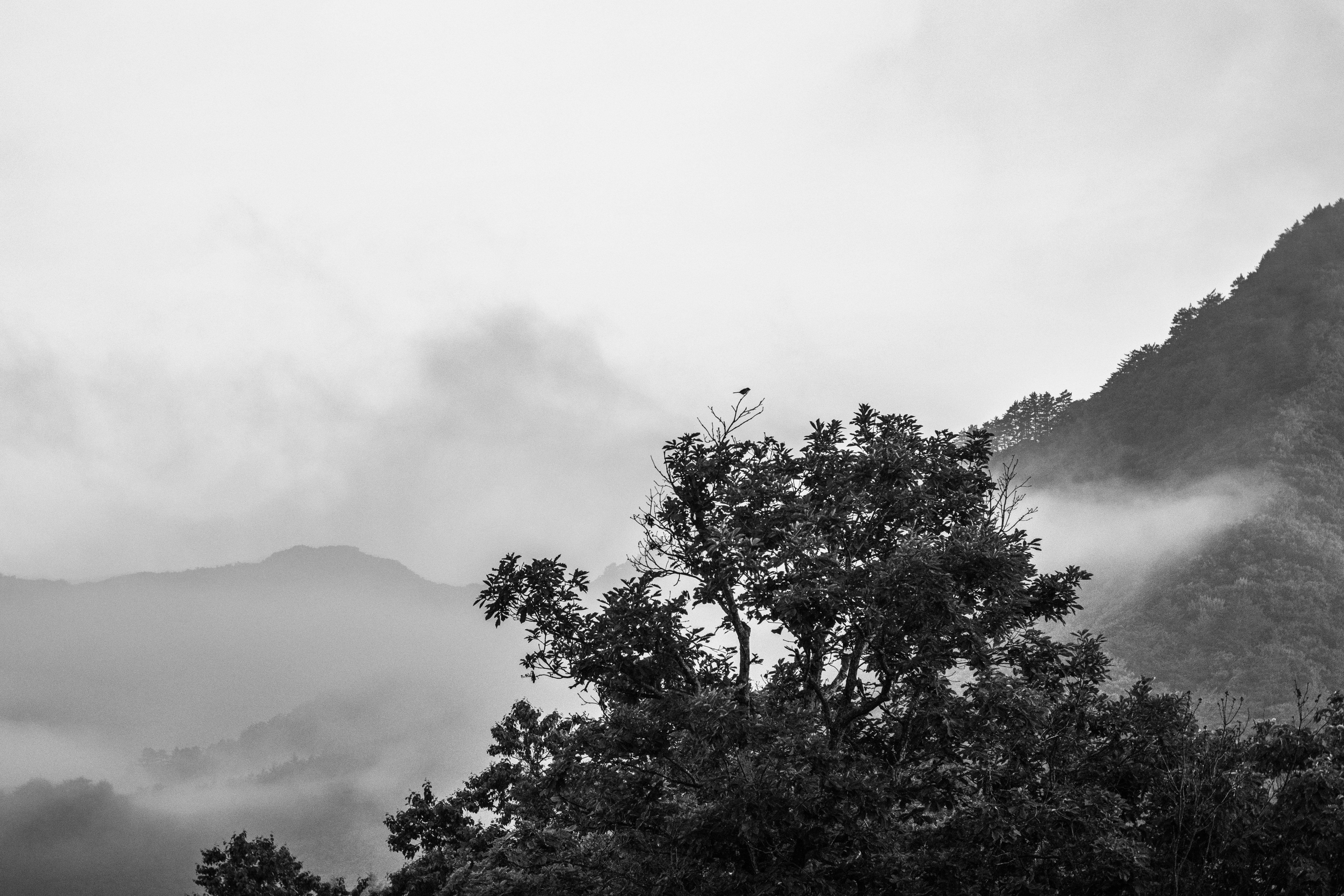 DSC03477 (1).jpg
