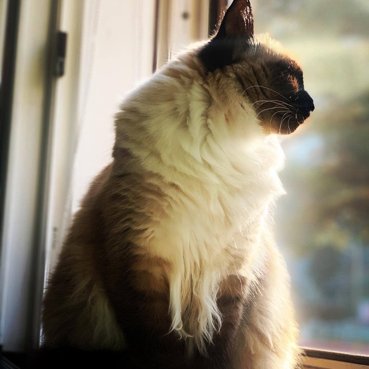 20191214_220602_F7B83BE5-6ACF-4D21-9BC0-A980FB79B9F4.JPG