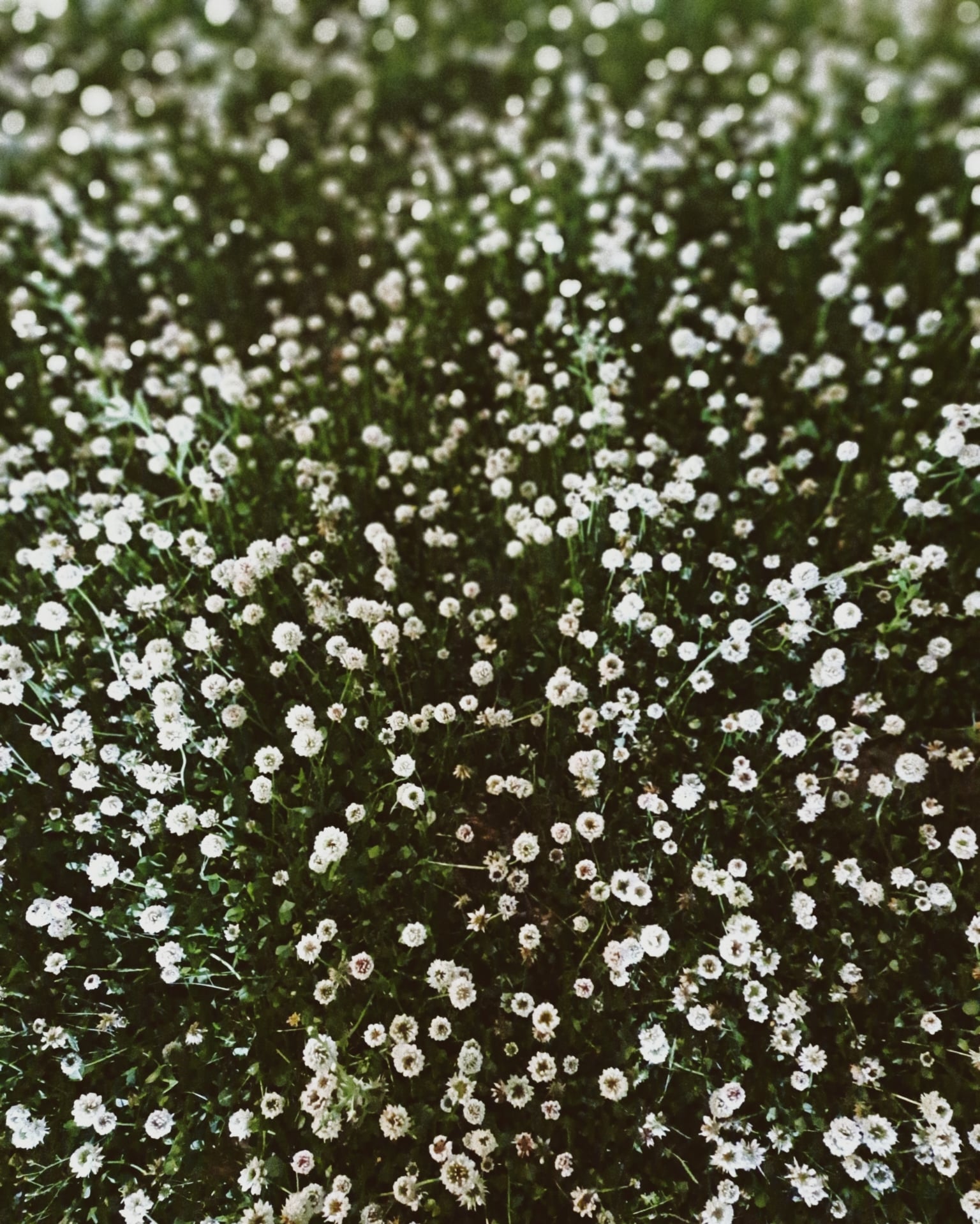 CYMERA_20260727_145740.jpg