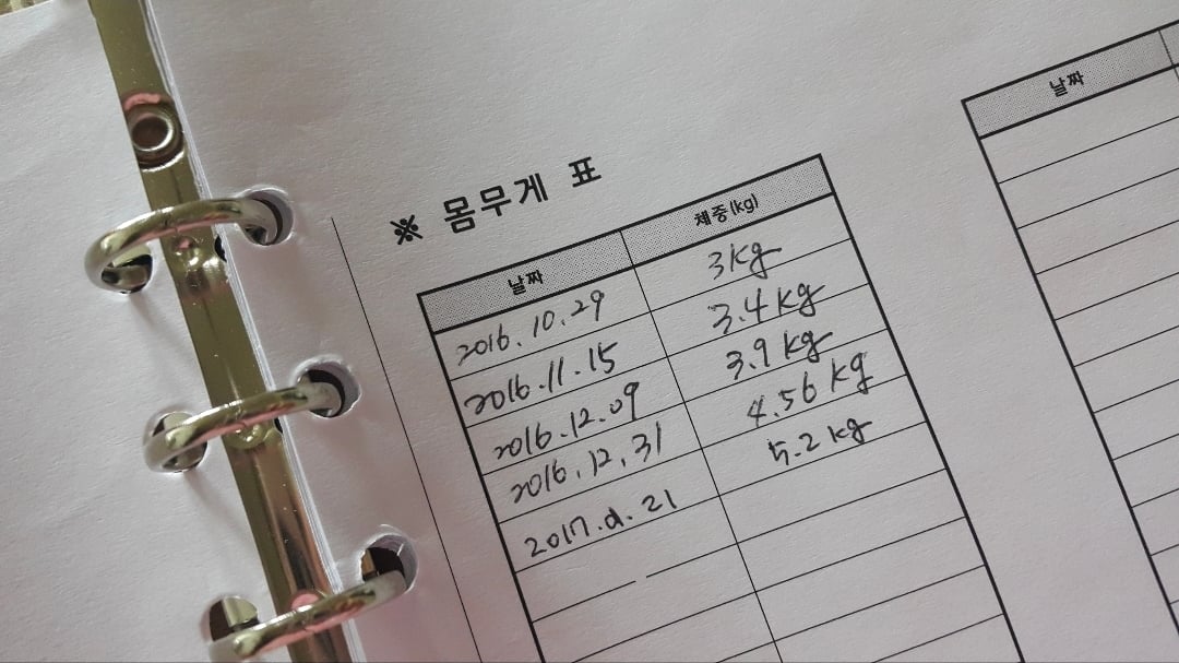 첨부 이미지