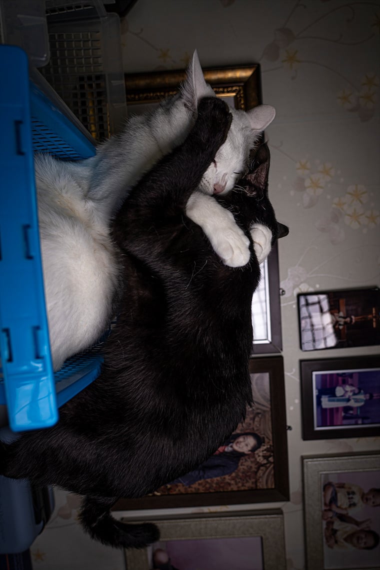 첨부 이미지