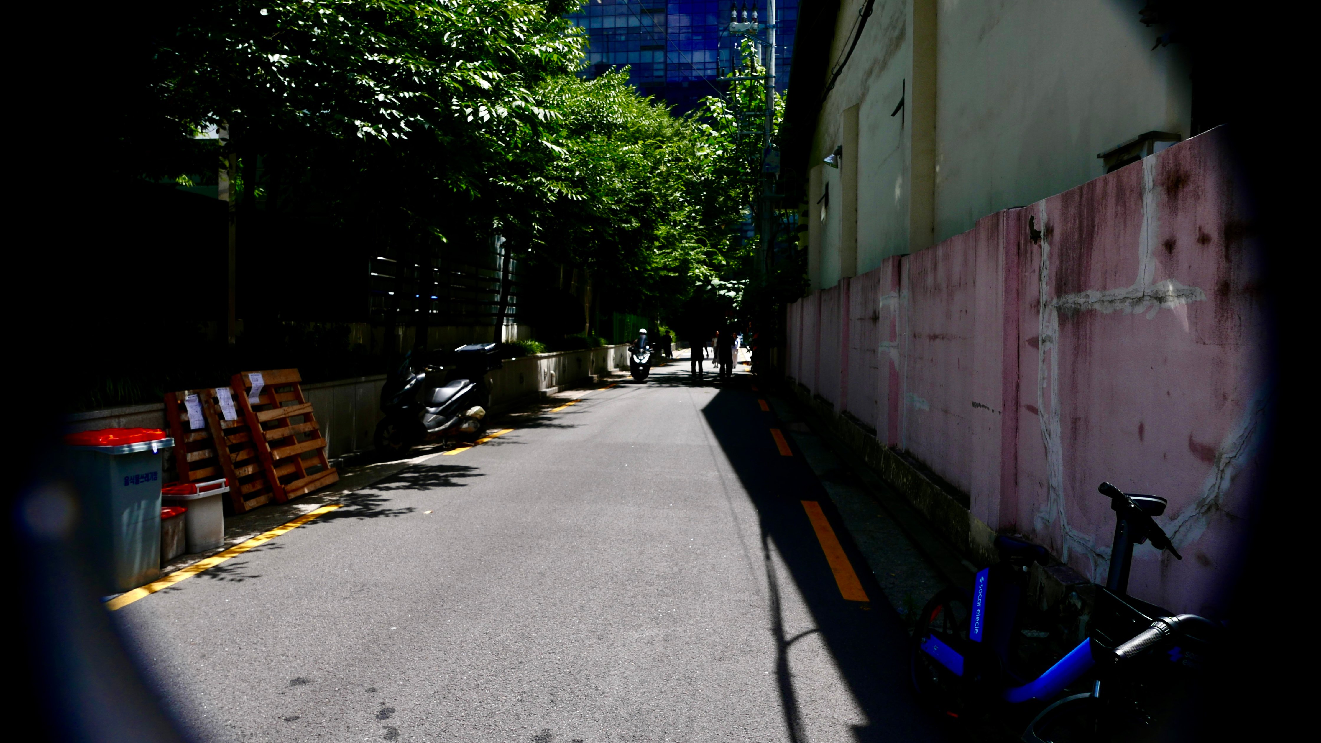 P7450438.jpeg