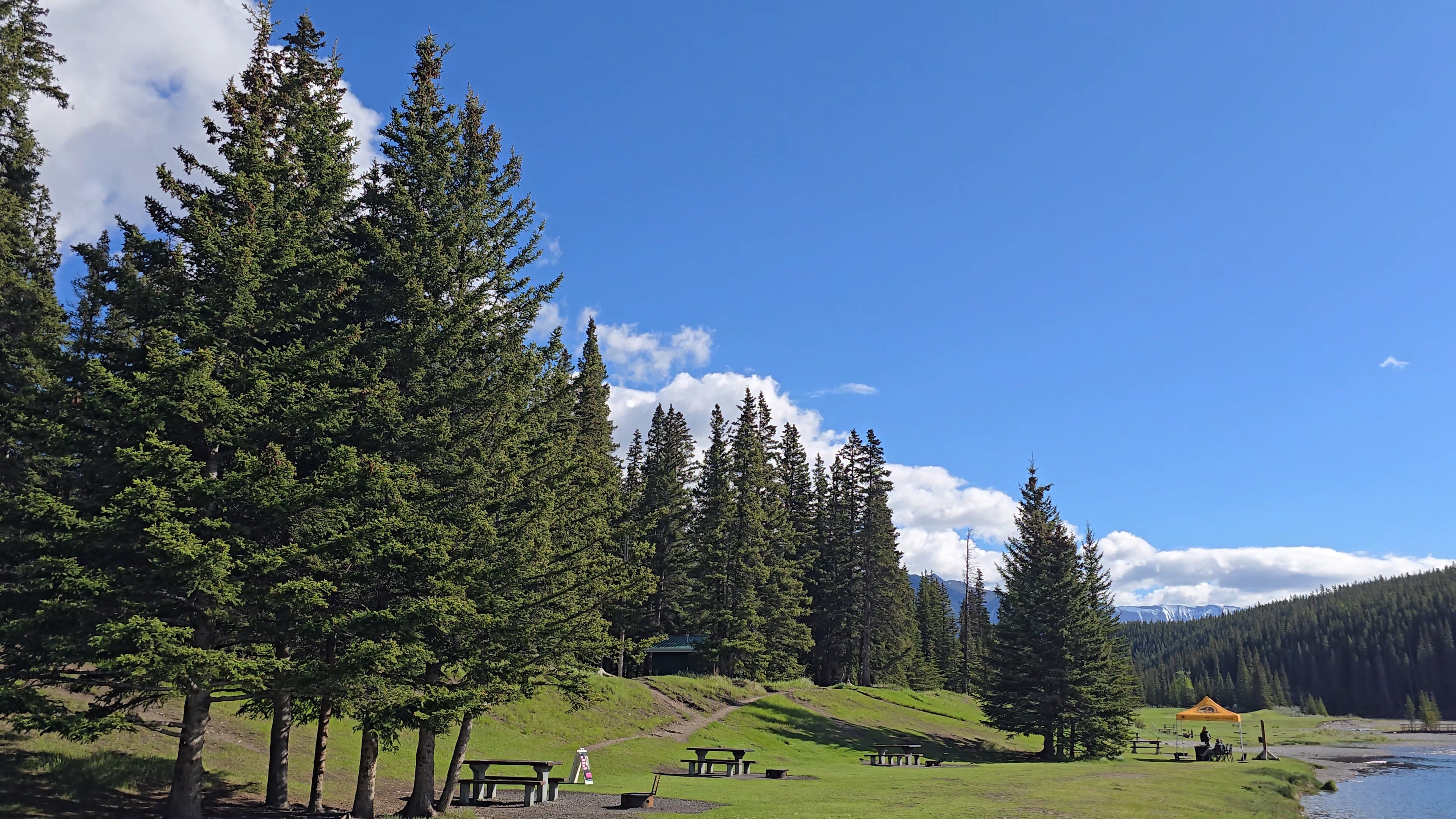 20260606_091249.jpg
