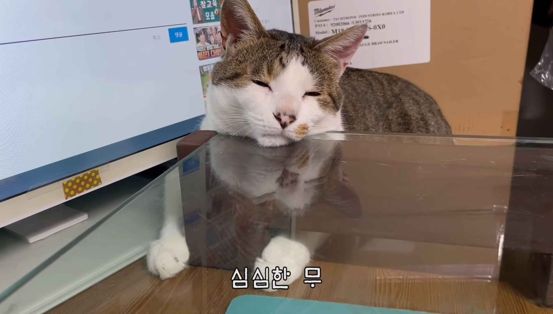 첨부 이미지