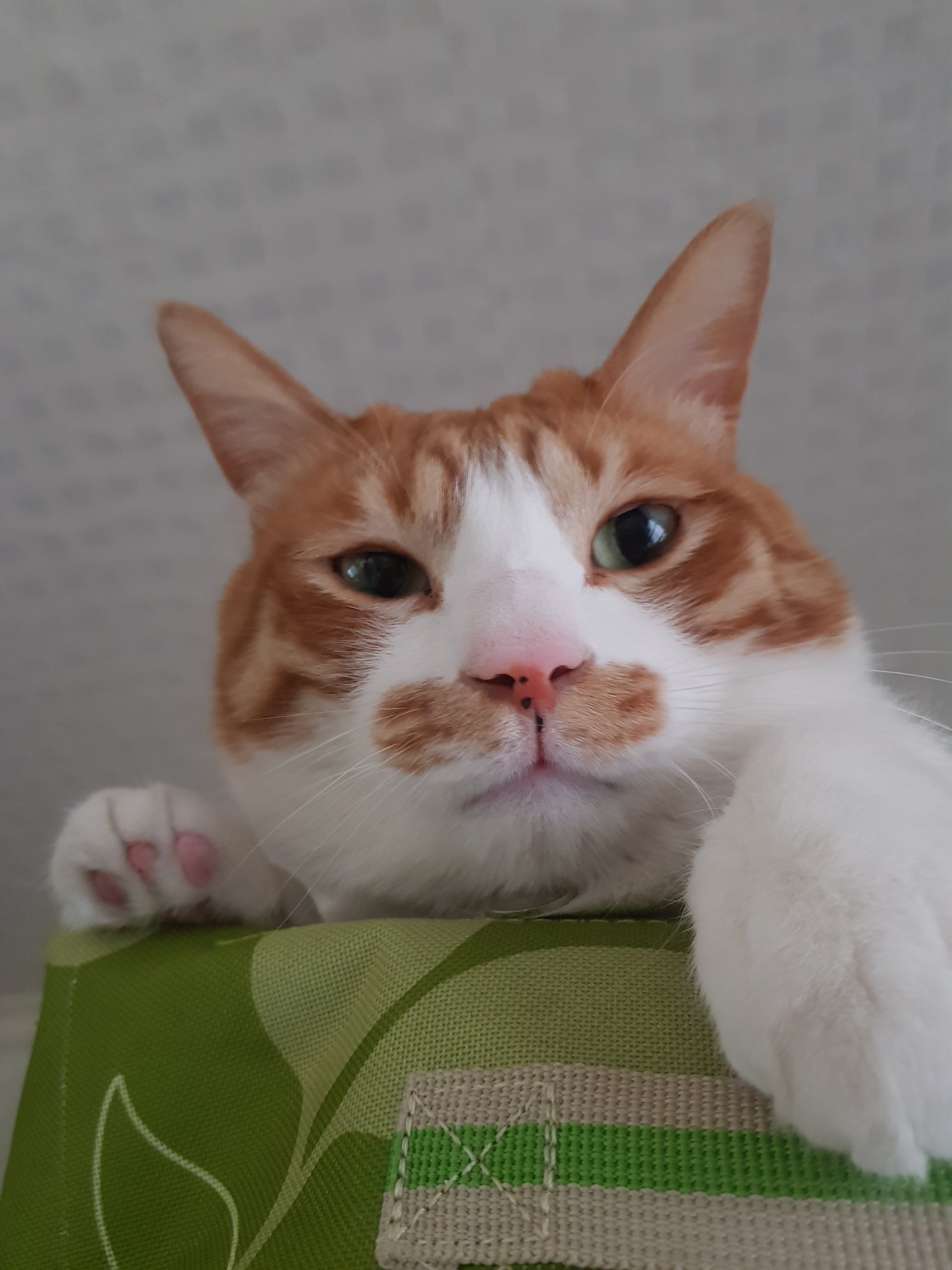 첨부 이미지