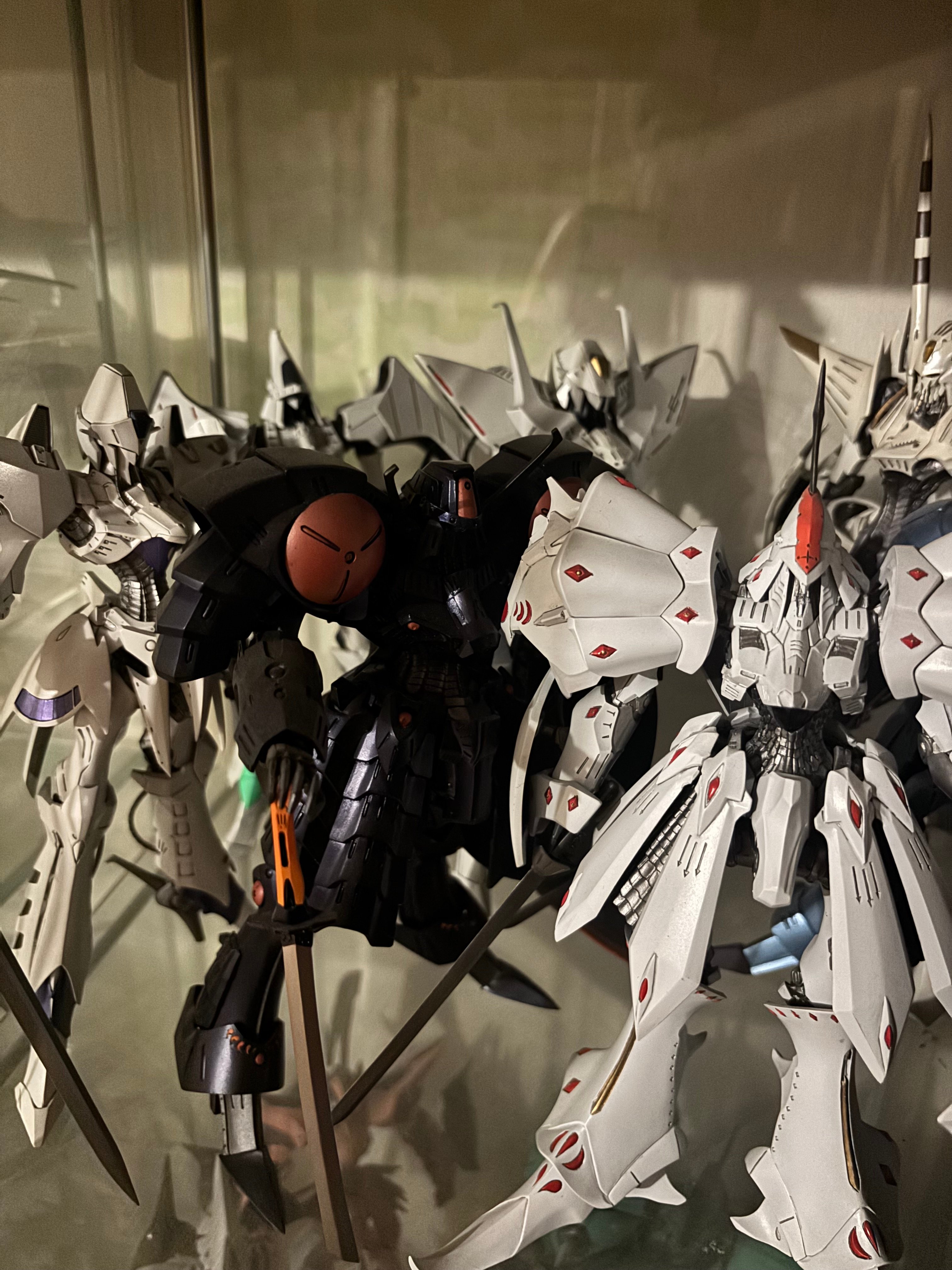 IMG_6477.jpeg