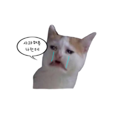 첨부 이미지