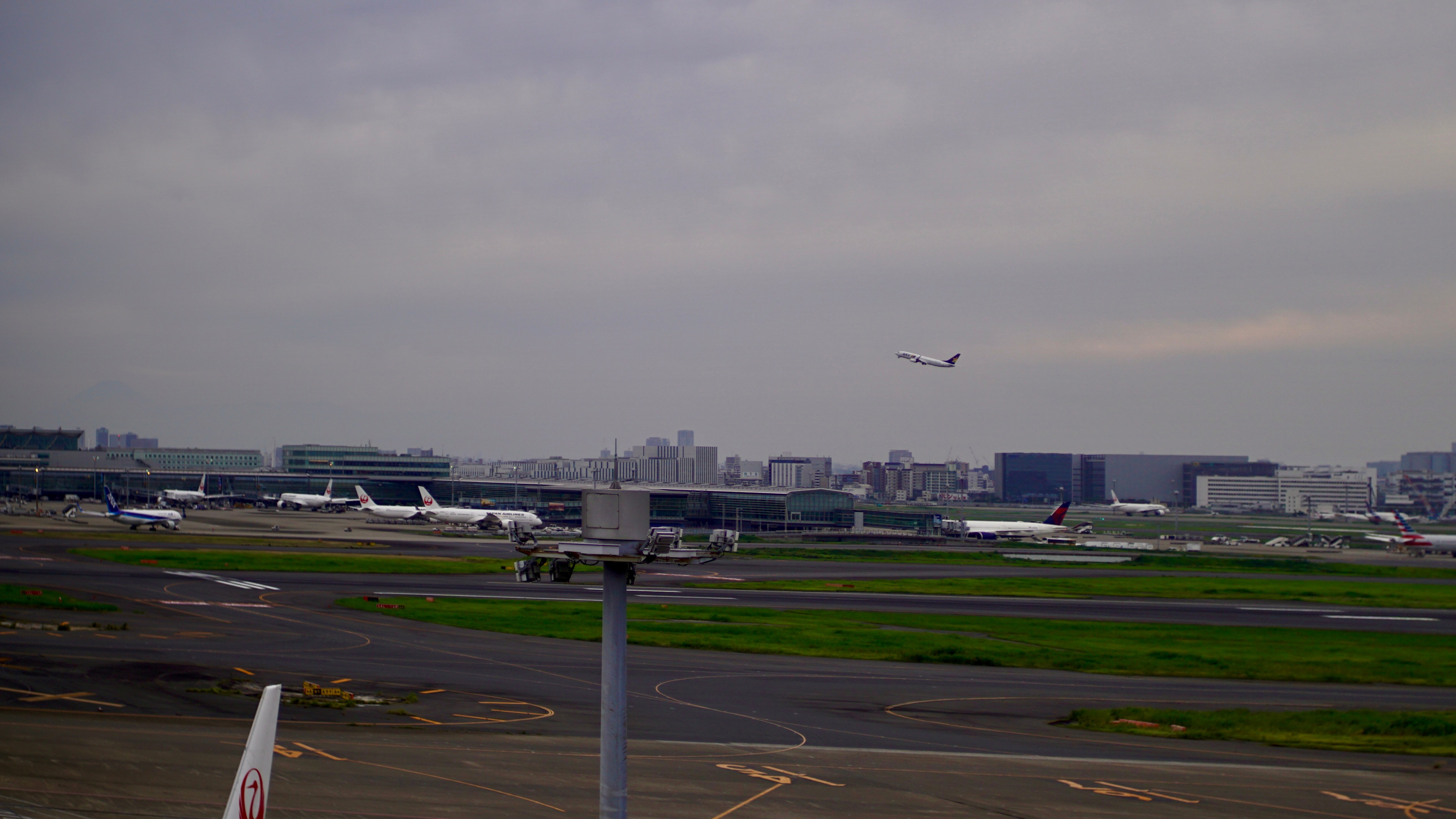 DSC01692.jpeg
