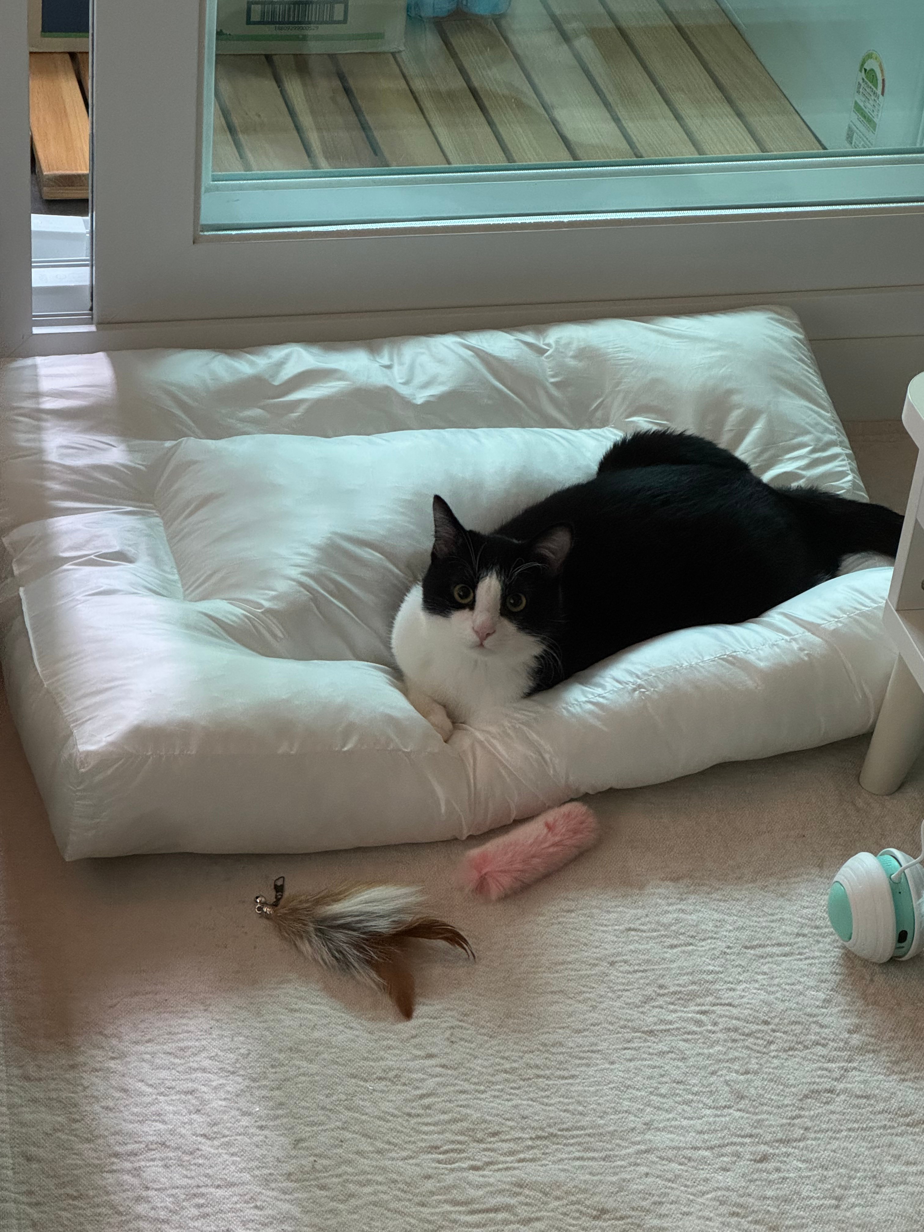 KakaoTalk_20260728_105206560_16.jpg