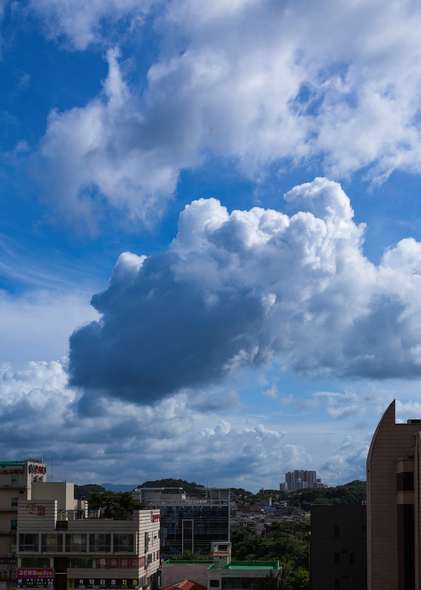 5C2A5435crop.jpg