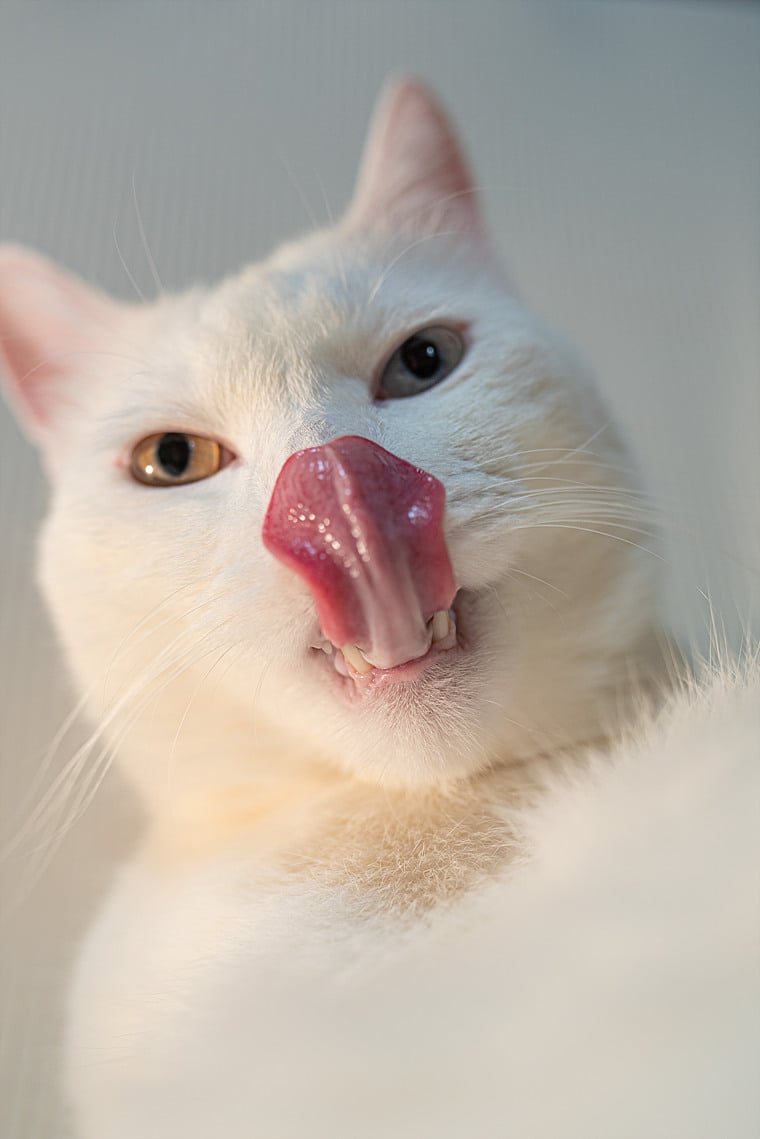 첨부 이미지
