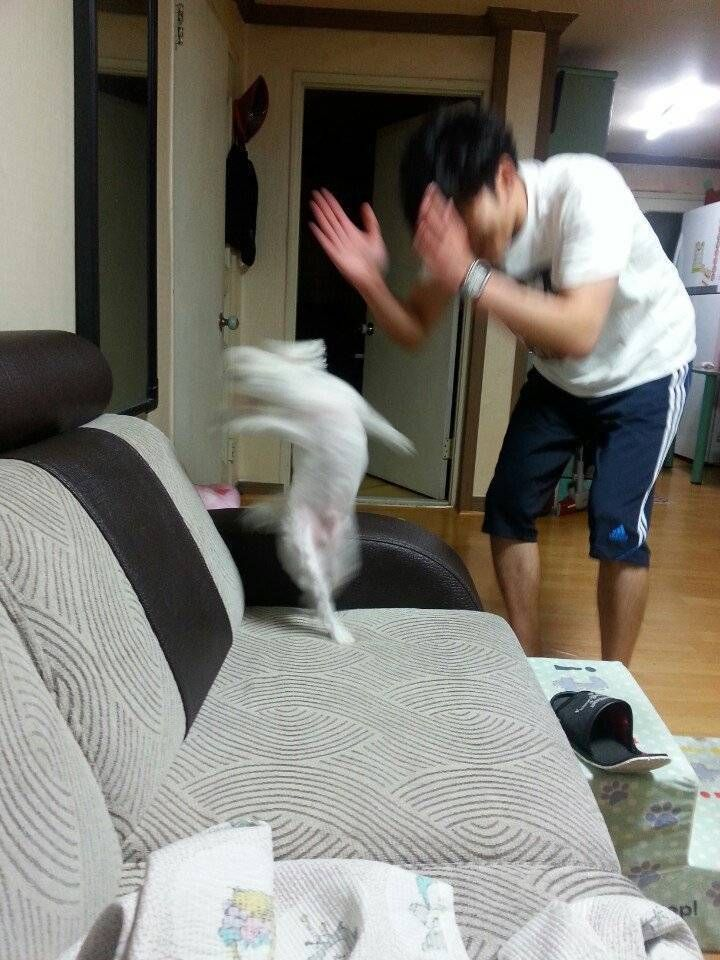 첨부 이미지