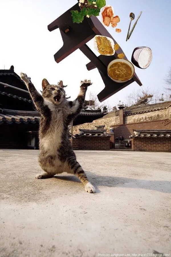 첨부 이미지