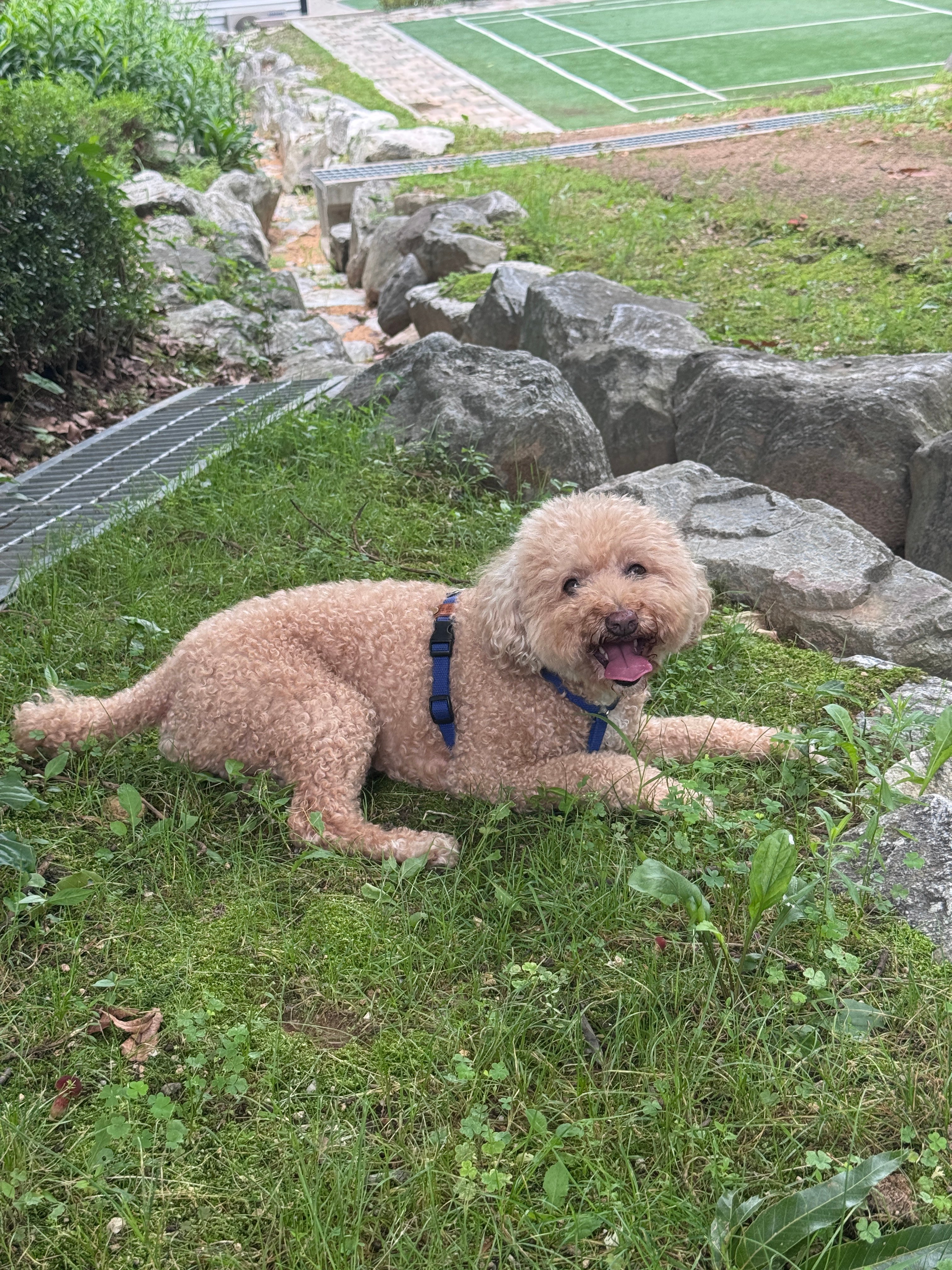 첨부 이미지