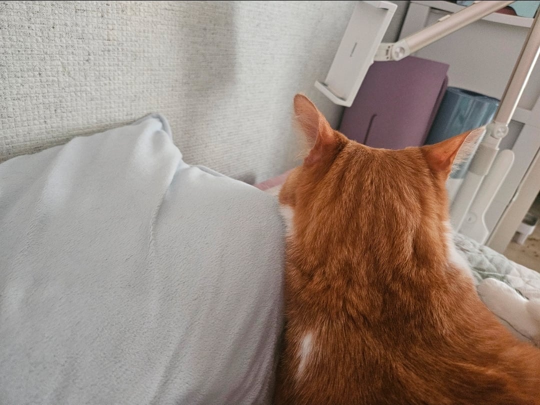 첨부 이미지