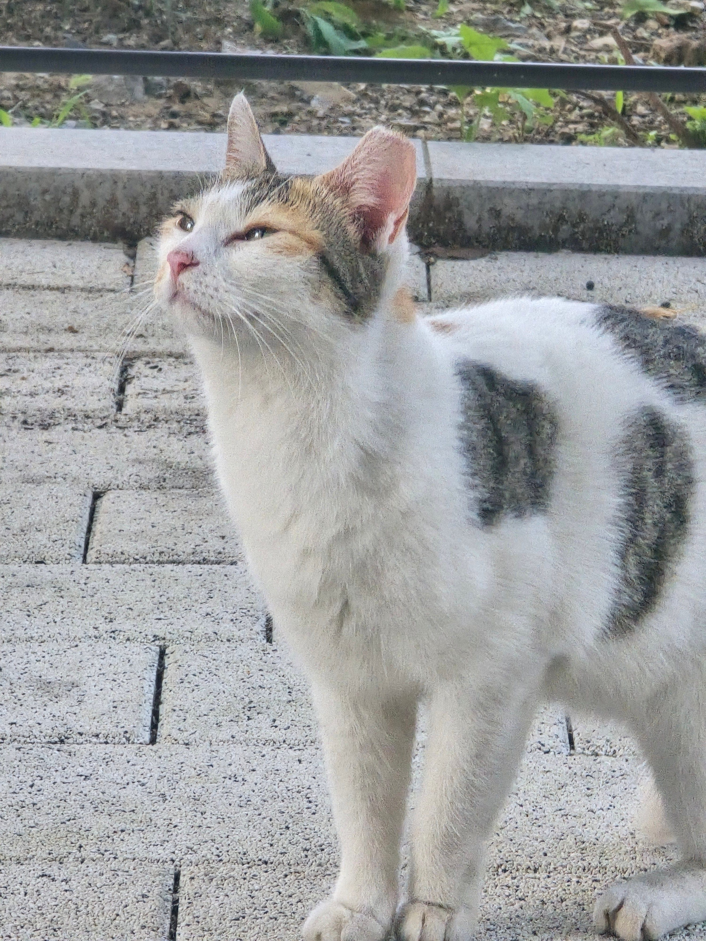 첨부 이미지