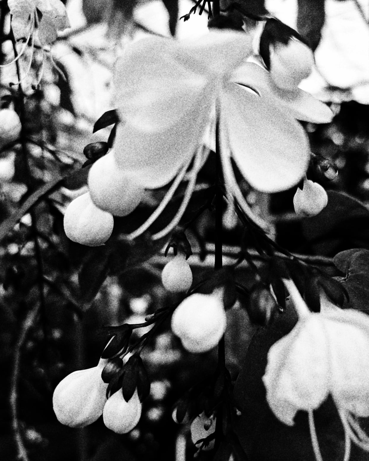 1000196584_edited.jpeg
