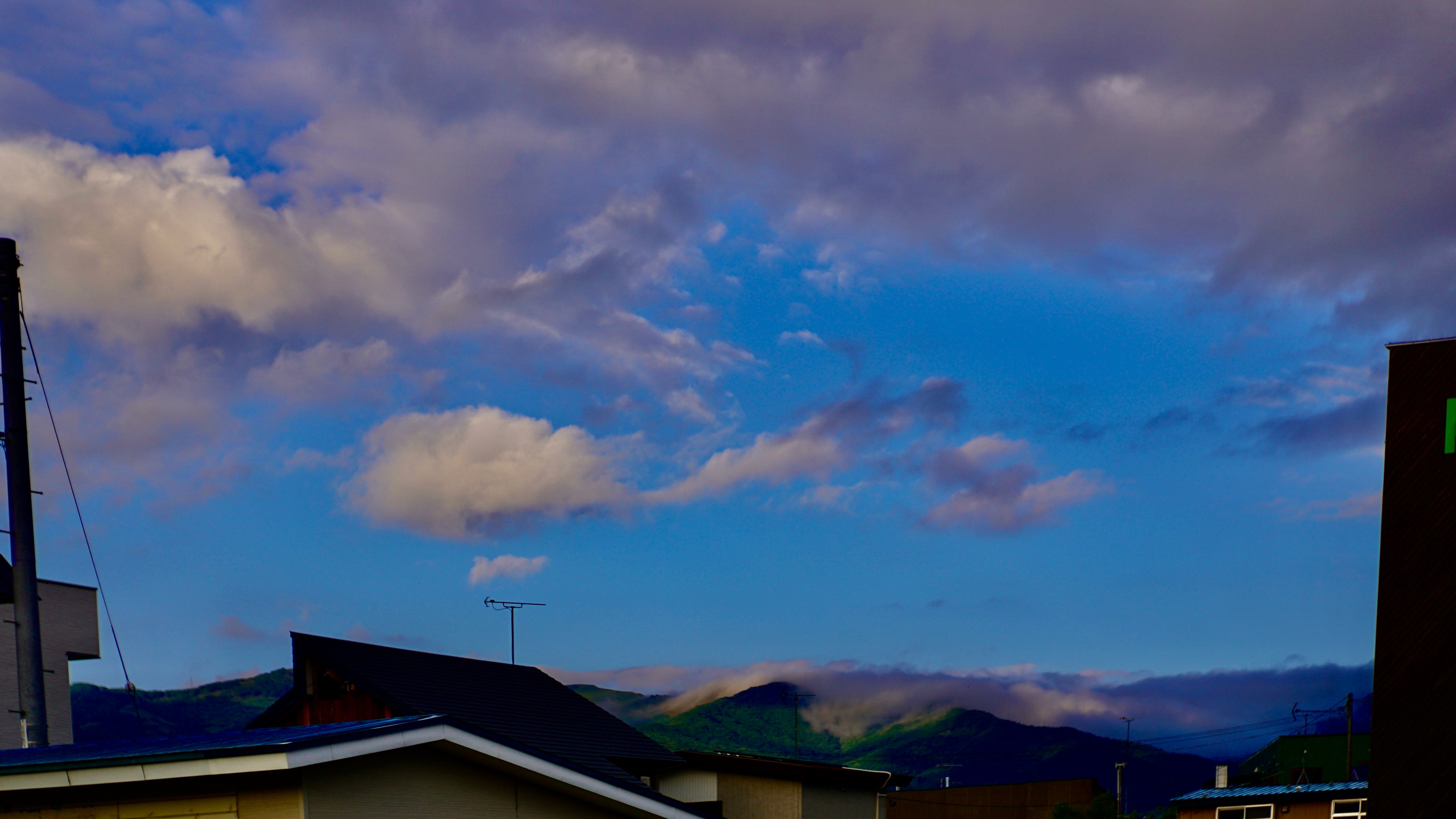 DSC01417.jpeg