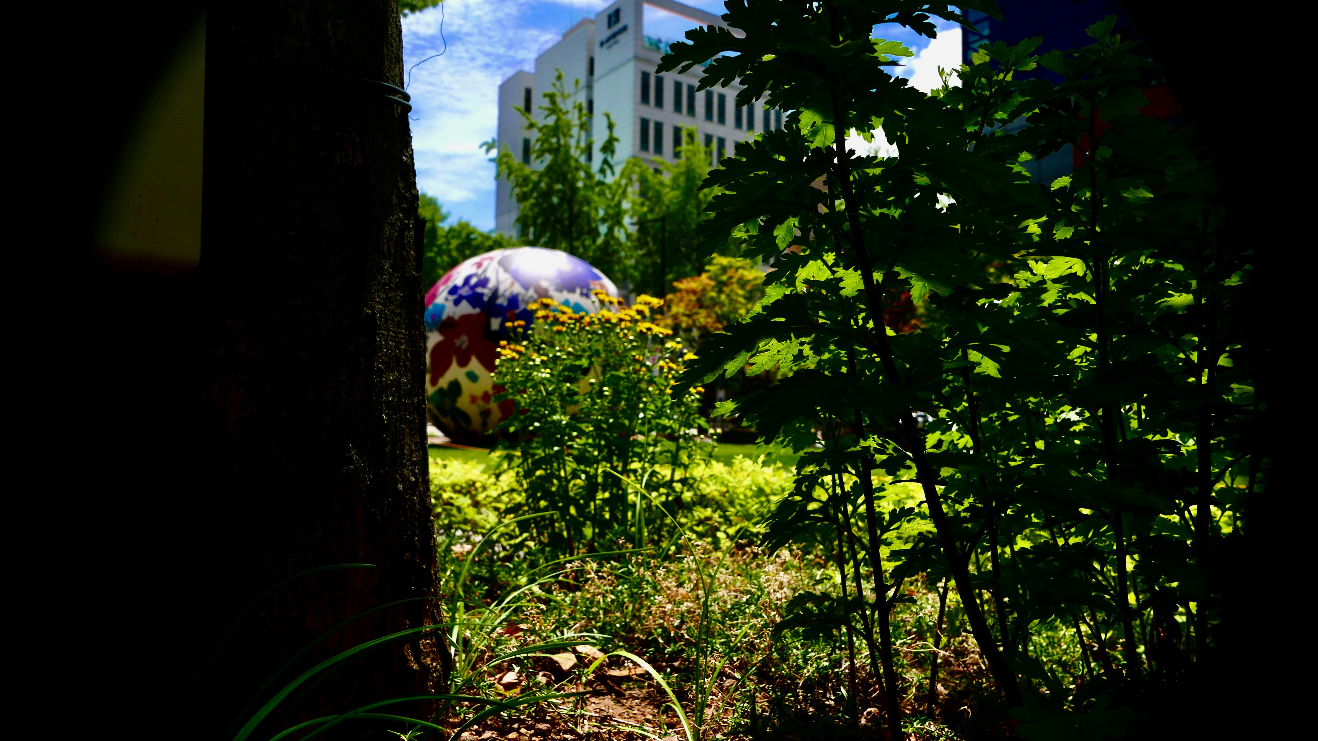 P7450442.jpeg