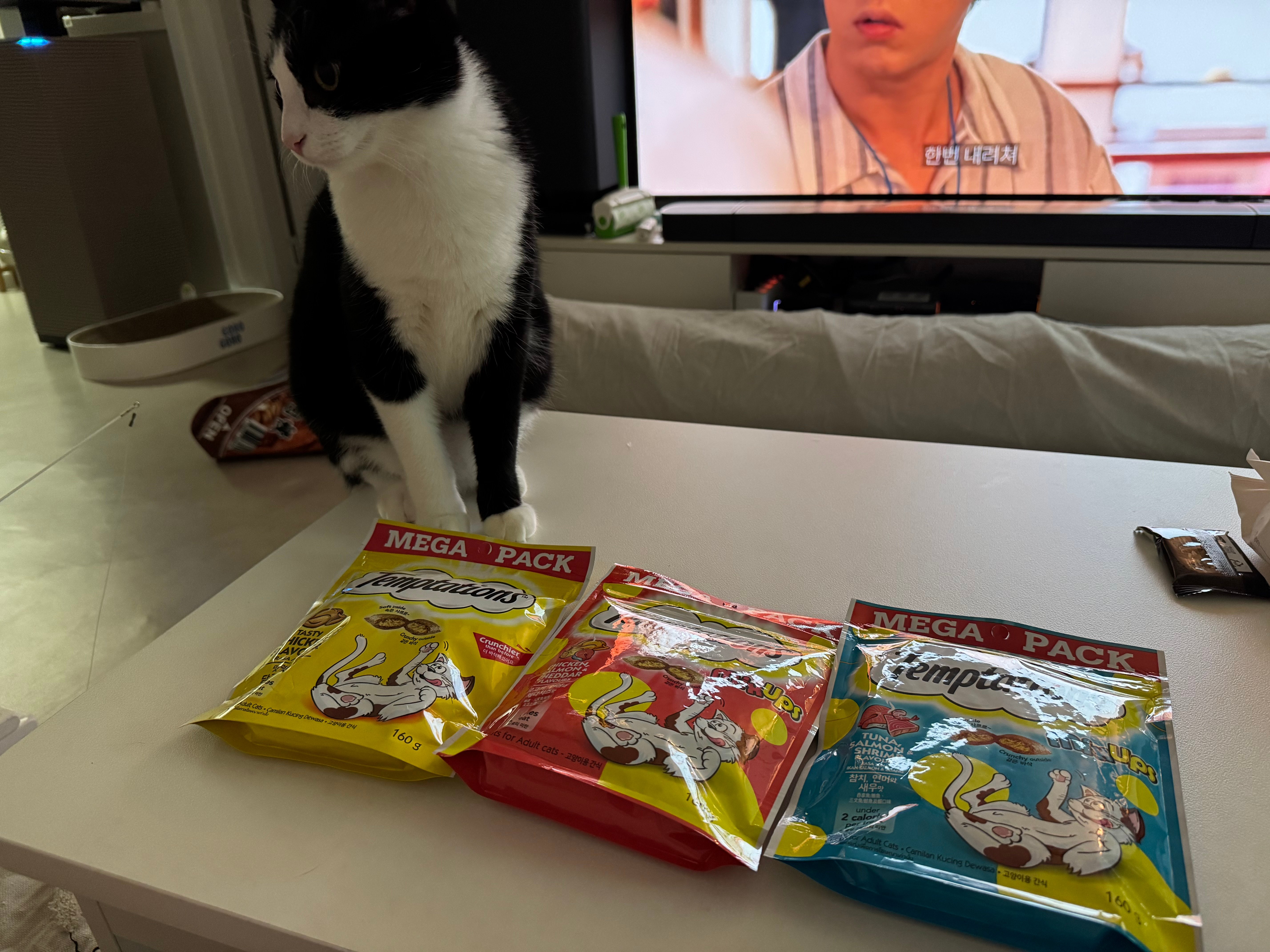 KakaoTalk_20260728_105206560_15.jpg