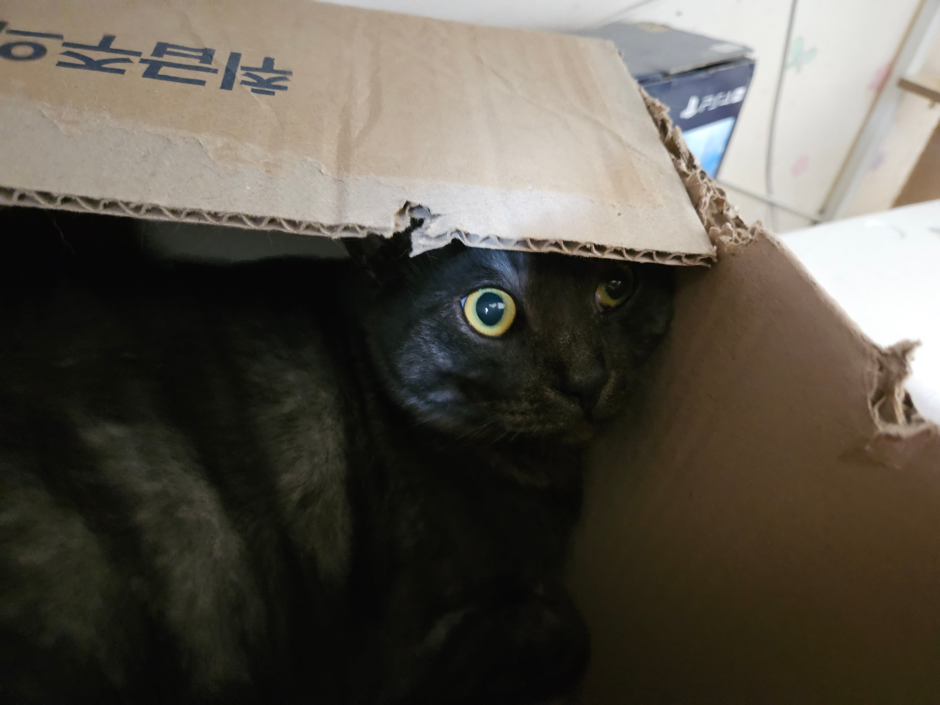 첨부 이미지