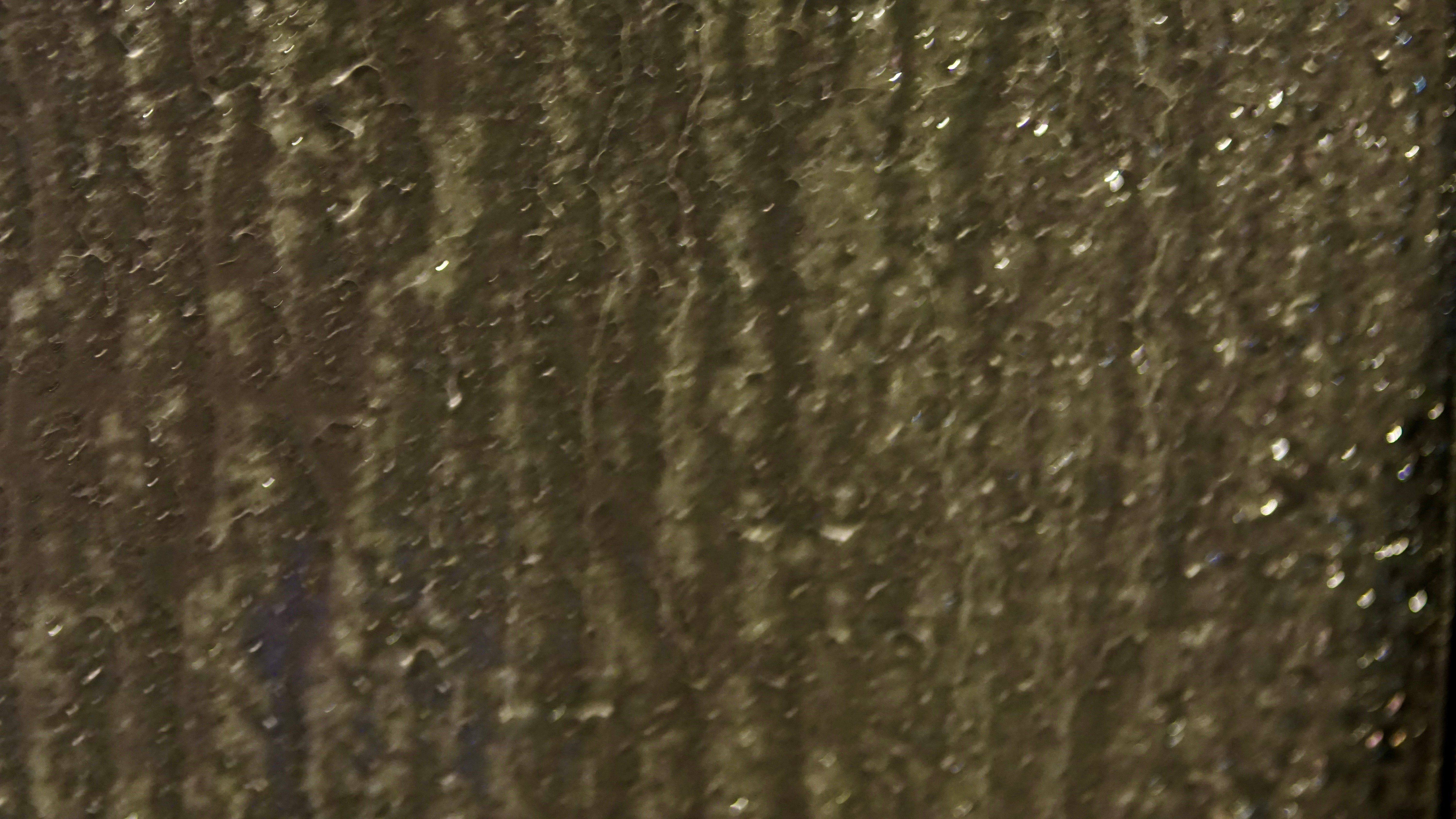 DSC01948.jpeg
