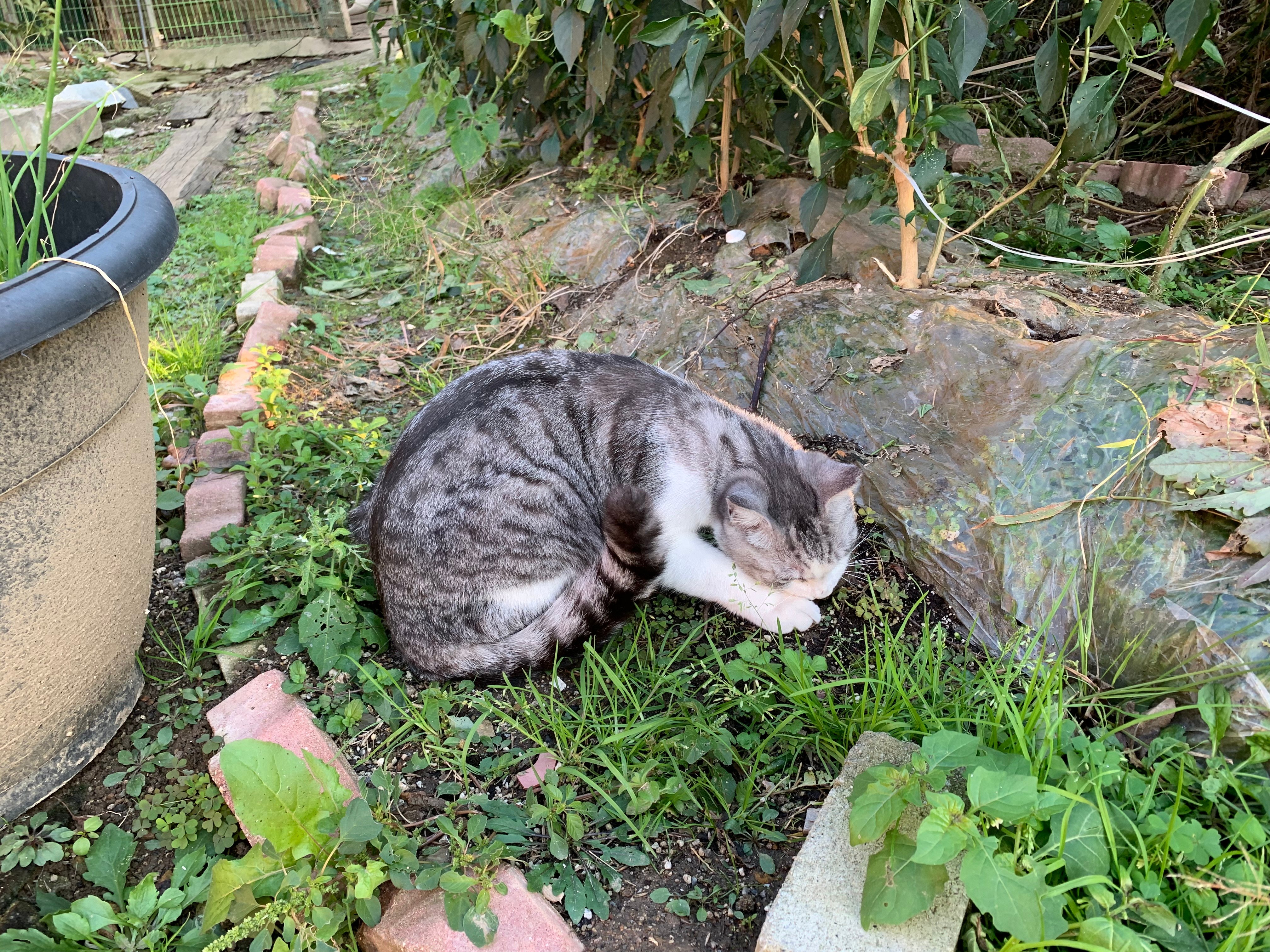 IMG_1387.jpeg