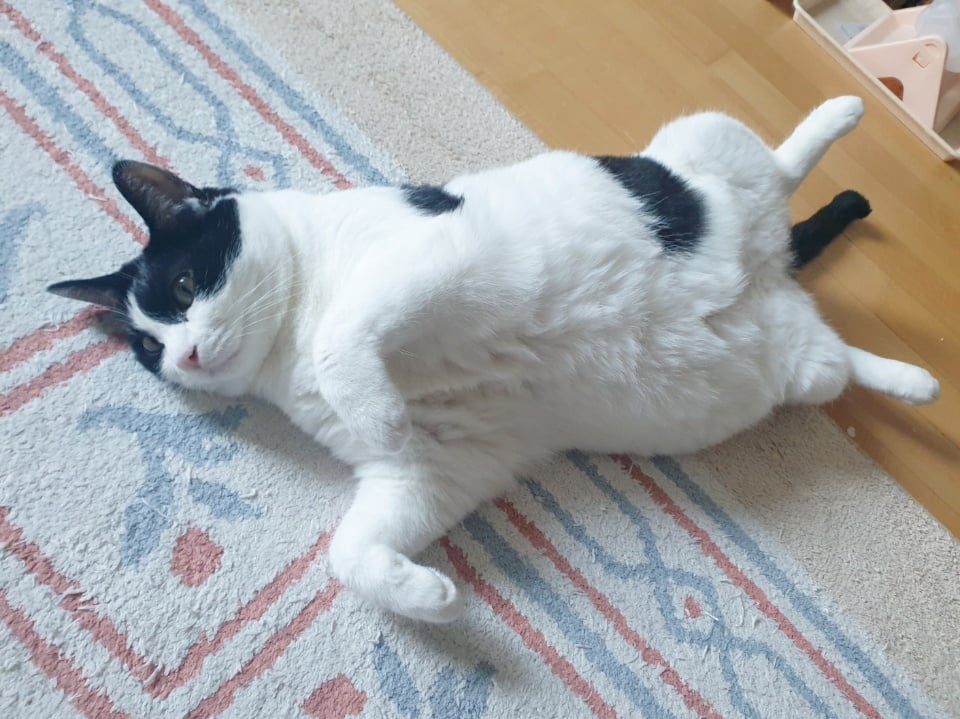 첨부 이미지