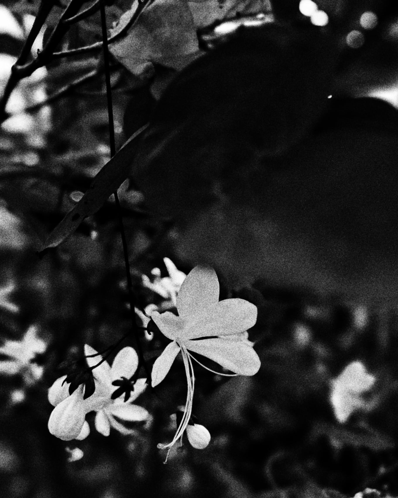 1000196571_edited (1).jpeg